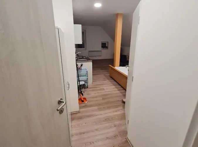 Apartament Tesla *
